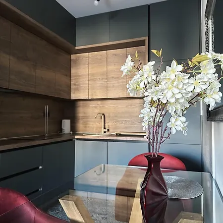 Hill Homes Mal بودغوريتْسا